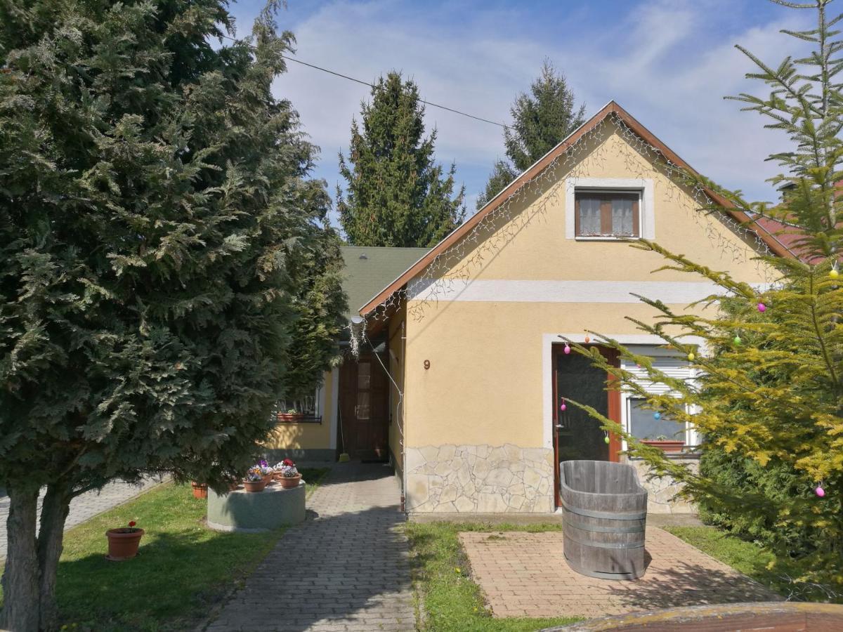Gergely Vendeghaz Apartment Zirc Exterior photo