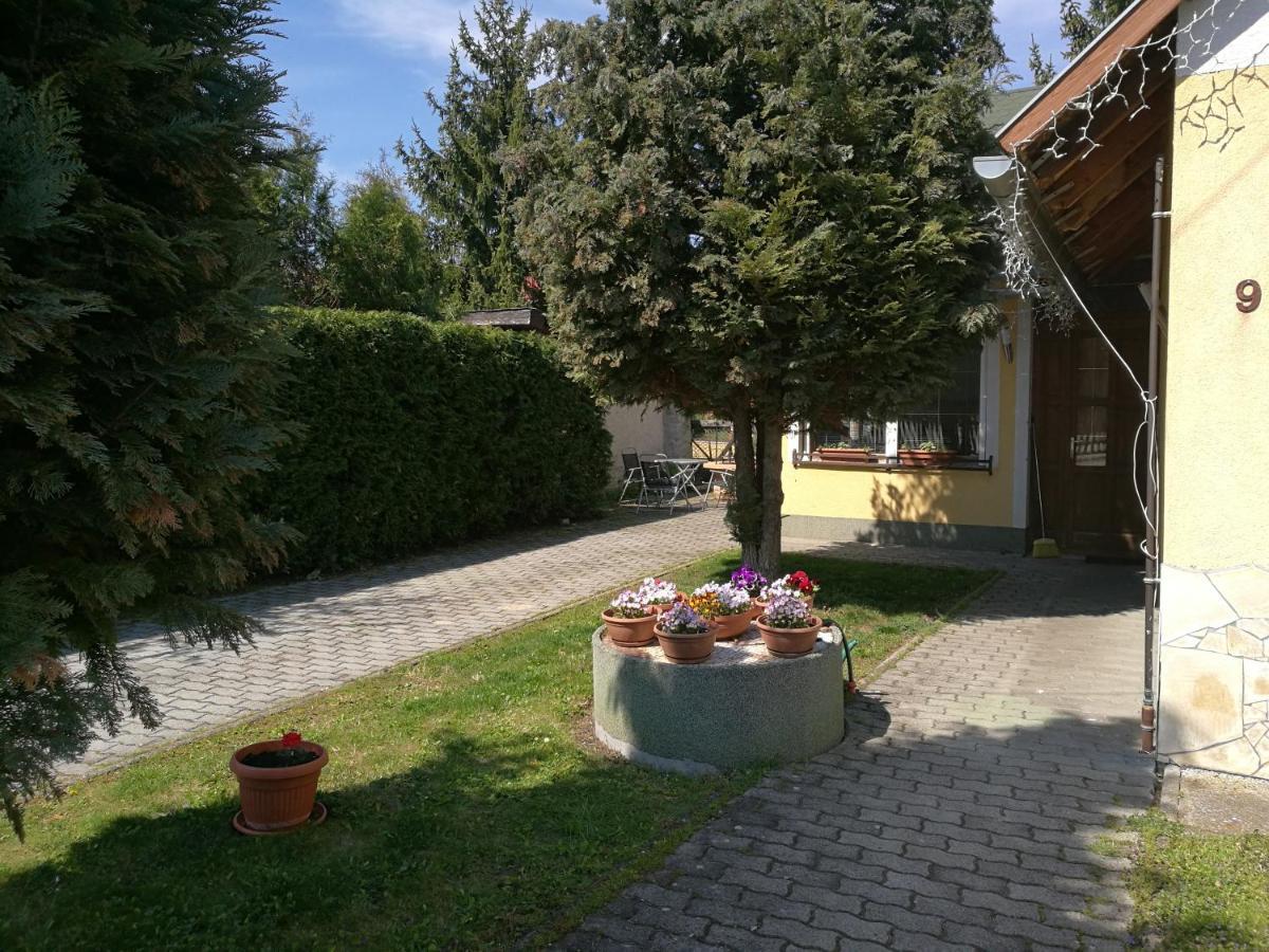 Gergely Vendeghaz Apartment Zirc Exterior photo